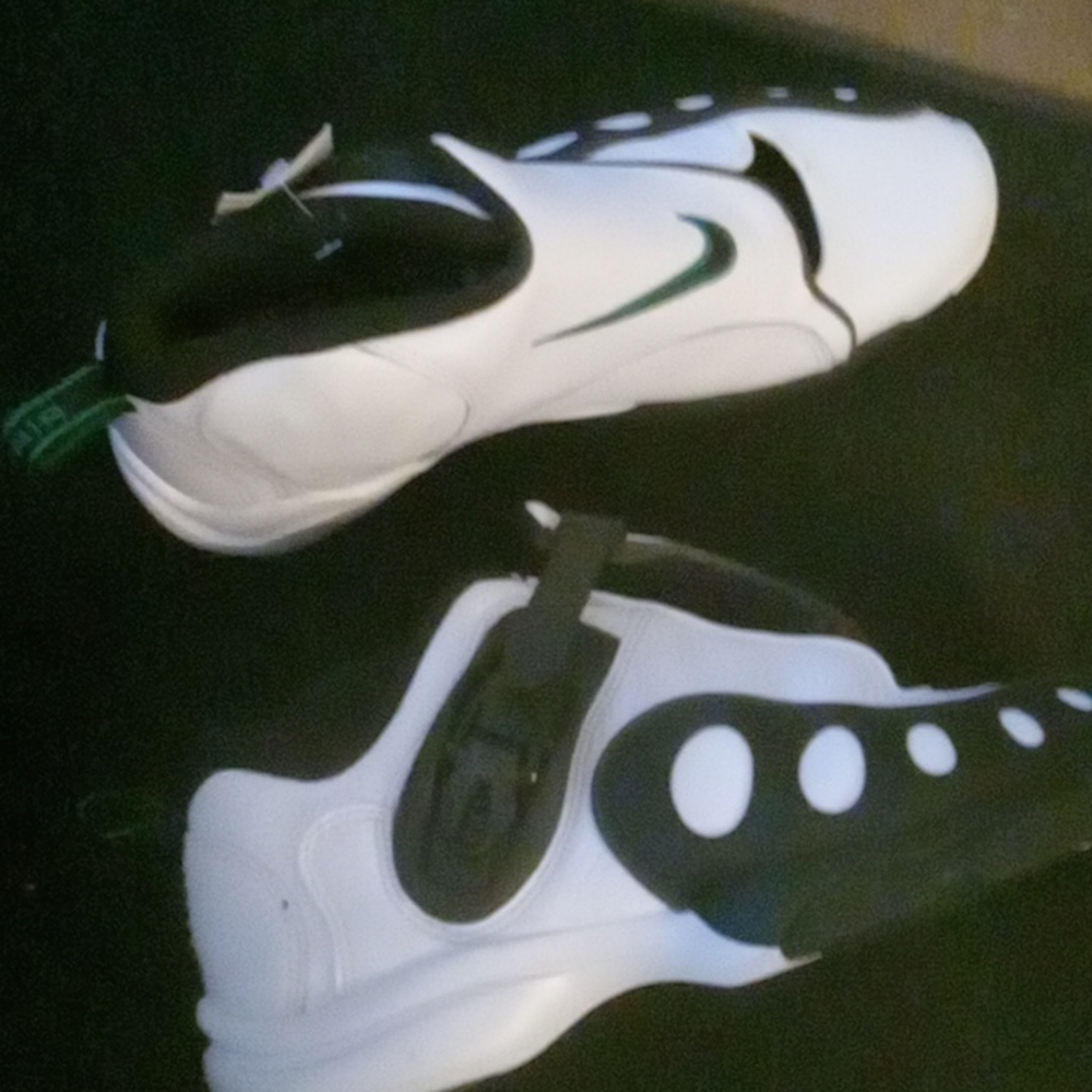 Nike Air Zoom/Gary Payton